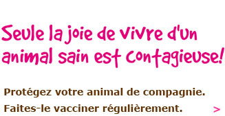 475’000 chiens, 1'380'000 chats et 85'000 chevaux vivent en Suisse. Pr&egrave;s d’un tiers des chiens et des chevaux ainsi que de deux tiers des chats ne sont pas suivis de mani&egrave;re optimale m&eacute;dicalement parlant. Ils ne sont pas vaccin&eacute;s selon les recommandations des v&eacute;t&eacute;rinaires suisses. Le risque de contracter une maladie infectieuse augmente si l’animal est insuffisamment prot&eacute;g&eacute; par d&eacute;faut de vaccin. Chaque esp&egrave;ce animale n&eacute;cessite un taux de vaccination d’au moins 70 pourcent pour que les maladies infectieuses ne puissent d&eacute;boucher sur une &eacute;pid&eacute;mie.