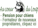 Pension pour chiens Broc