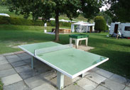 ping pong