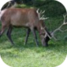 Bulle est une commune suisse du canton de Fribourg, chef-lieu du district de la Gruy&egrave;re.