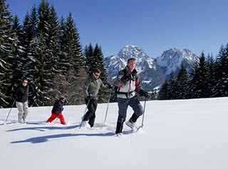 activités hivernales