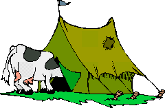 camping du lac