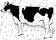 vaches