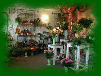 interieur magasin