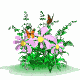 fleurs